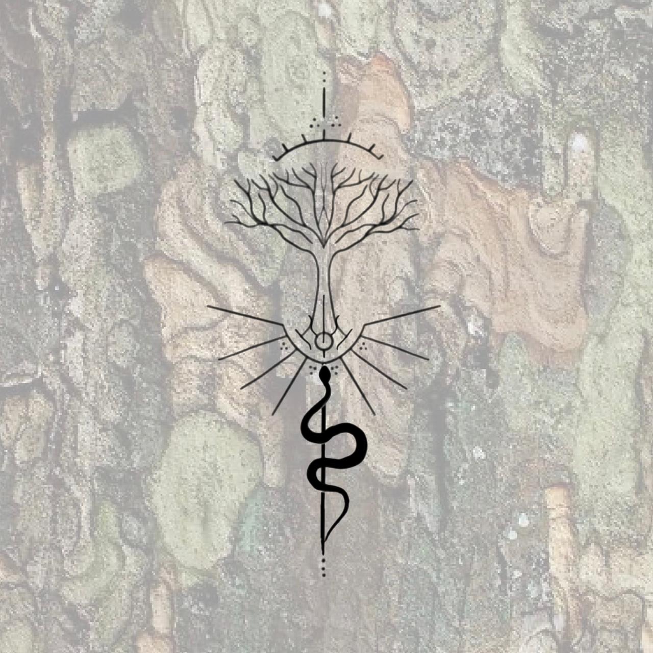 The Root System